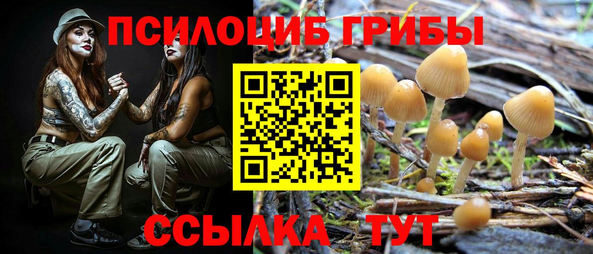 Псилоцибиновые грибы GOLDEN TEACHER Ставрополь